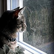 Carrie Whitaker's photo
