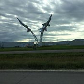 Brandon Macias's photo