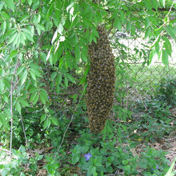 Swarm Rescue - Products