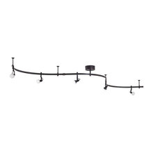 Track Lights