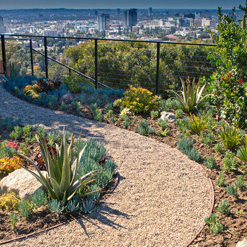 Mid Century Modern in the Hollywood Hills- Back Yard