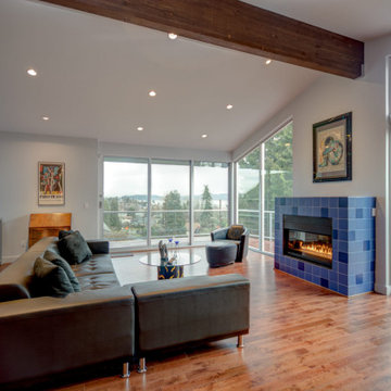Seward Park Whole House Remodel