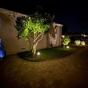 Landscape Lighting (Uplight)