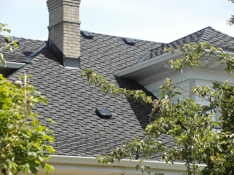 Specialty Shingle Roofs
