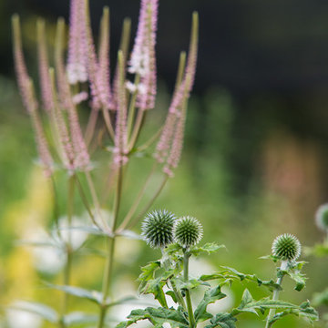 Edinburgh Ornamental Productive Garden