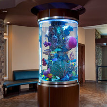 Fish tank
