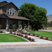 Front yard