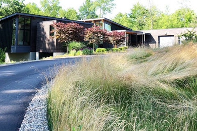 Photo of a huge modern drought-tolerant and partial sun hillside landscaping in Detroit for summer.