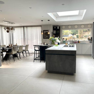 Whole House Renovation