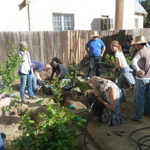 Greywater systems