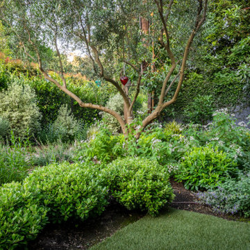 Mandeville Canyon Modern Oasis