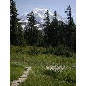 Charles Bale's photo