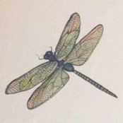 Jennifer Risinger's photo