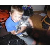 Paula Rich's photo