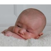 Jessica Laughlin's photo