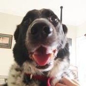 Mike Rosenbaum's photo