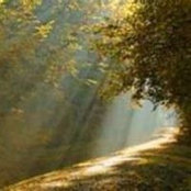 Maria Zafar's photo