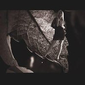 Photo de Silke Seemann
