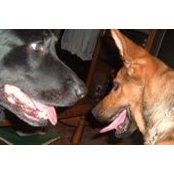 Ellen Gleason's photo