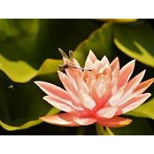 Becky Kauffman's photo
