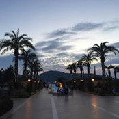 Александр Бройдо's photo