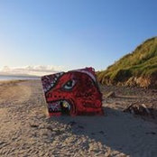 Martin Toner's photo