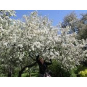 Julia Solovyova's photo