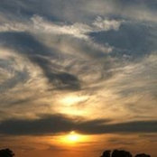 Liz Parisi-Durso's photo
