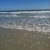 Amanda Wise-Cooper's photo