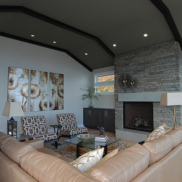 Stone Accent Wall and Fireplace