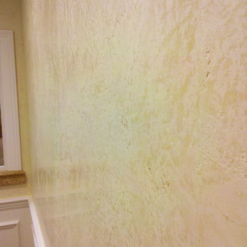 Wall finishes- venetian plaster