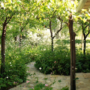 Woodland Pathway to Pool