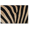 "Zebra Skin" by Robert Harding Picture Library, Canvas Art, 30"x47"
