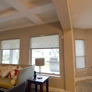 Hunter Douglas Roller Shades