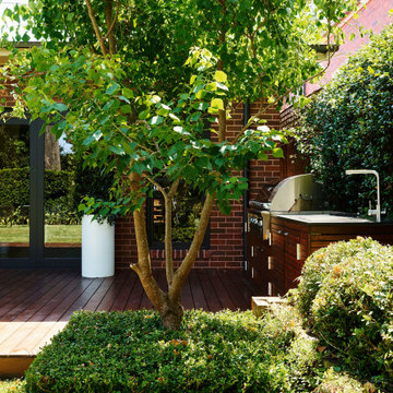 Artarmon modern family garden