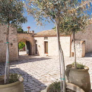 Olive Trees in the Courtyard