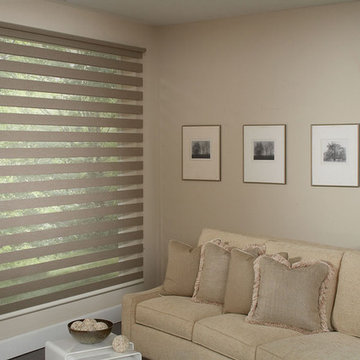 Allure Transitional Shades