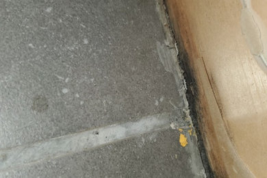 Mold Damaged Kitchen
