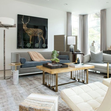 Highland Park Modern Home