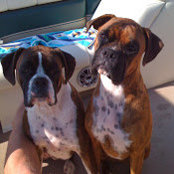 david heinen's photo