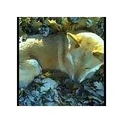 Julienne Guyette's photo