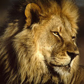 Foto von Kenneth Gavin