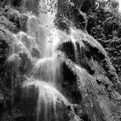 Alfred Limkk's photo