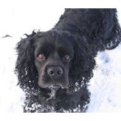 Don Mitchell's photo