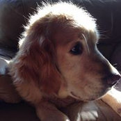 Laura McKinnon's photo