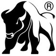 Profilbild von Bison Natural Authentic