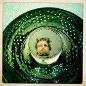 Aaron Flacke's photo