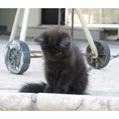 Ruby Mcarthur's photo