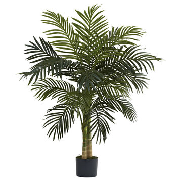 4' Golden Cane Palm Tree