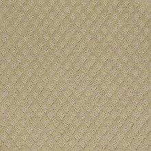 Upper Level Carpet